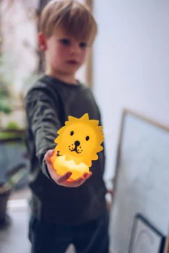 Mr Maria Lion nachtlampje bundel of Light, 12,6 cm