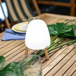 Newgarden Rocket 20 LED sfeerlamp met hout, Akku