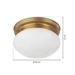 Opalen plafondlamp HARRY met messing