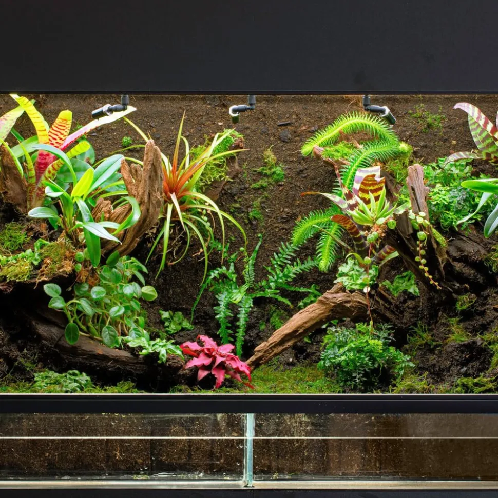 OSRAM LED lamp T8 6,6W buislamp Bio-Lumilux 965 60cm