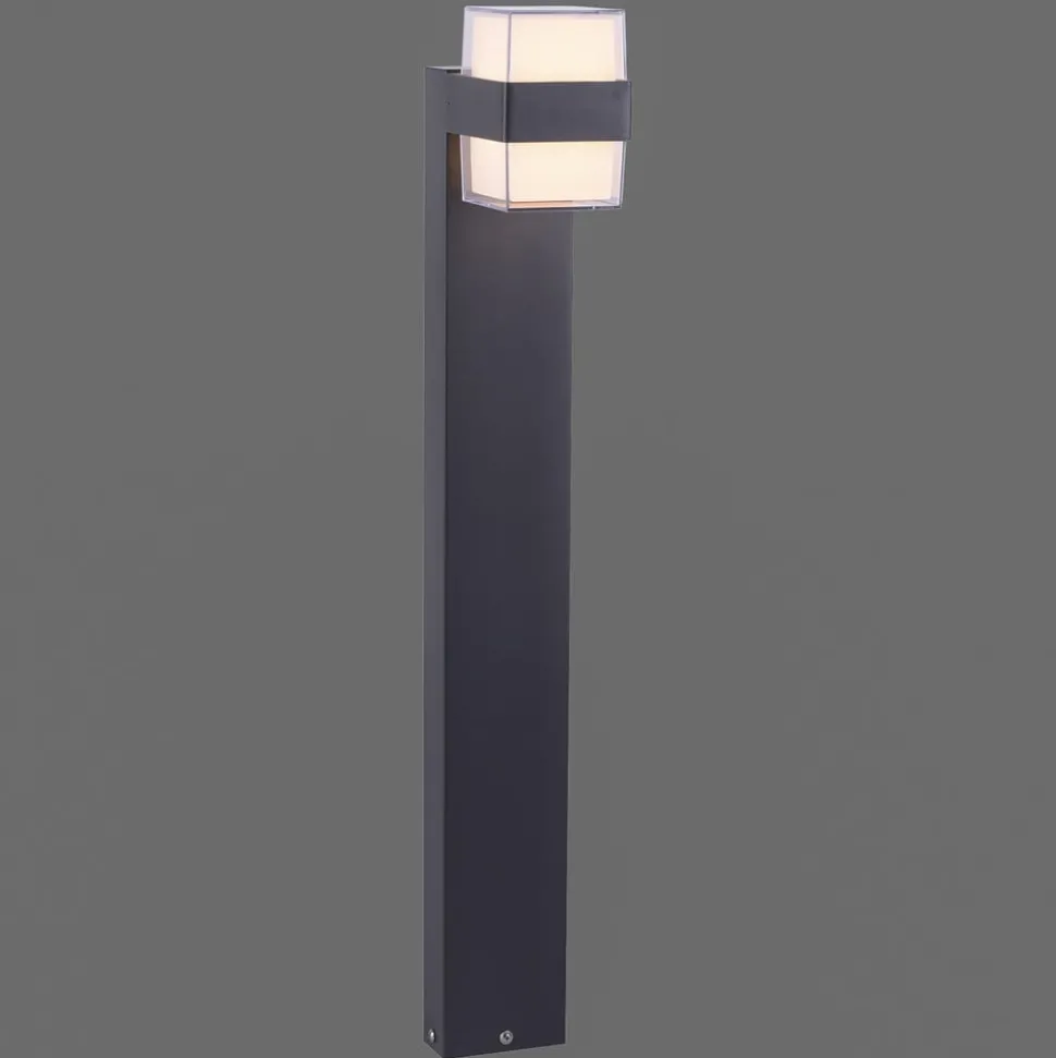 Paul Neuhaus Cara LED tuinpadverlichting up/down