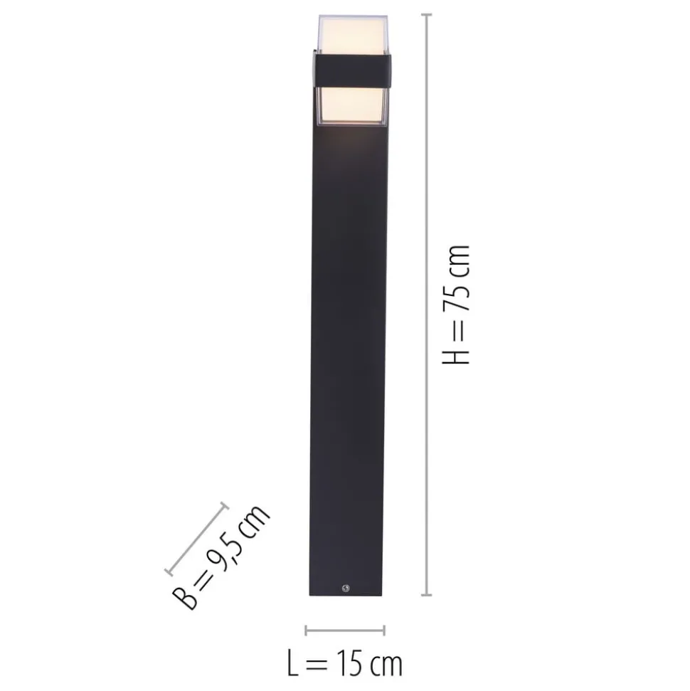 Paul Neuhaus Cara LED tuinpadverlichting up/down