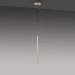 Paul Neuhaus Fluit hanglamp 1-lamp messing