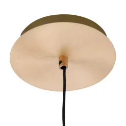 Paul Neuhaus Fluit hanglamp 1-lamp messing