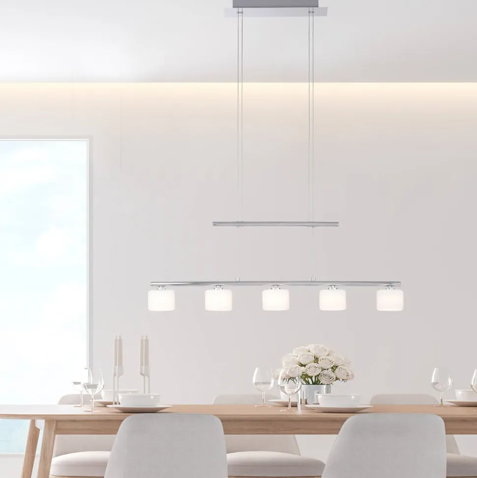 Paul Neuhaus LED hanglamp Hydra, staalkleurig, glas, 80cm