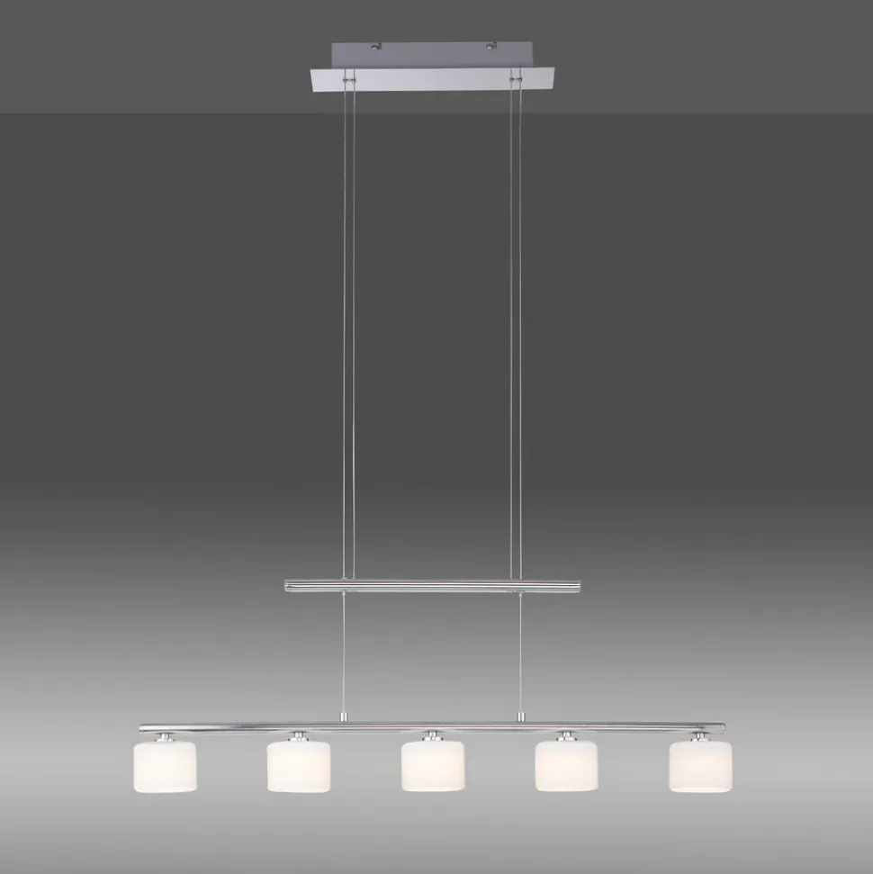 Paul Neuhaus LED hanglamp Hydra, staalkleurig, glas, 80cm