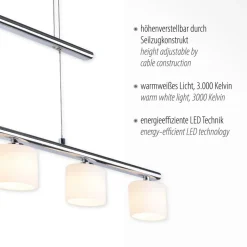 Paul Neuhaus LED hanglamp Hydra, staalkleurig, glas, 80cm