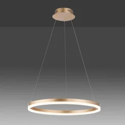 Paul Neuhaus LED hanglamp Titus, Ø 60 cm, messing, dimbaar
