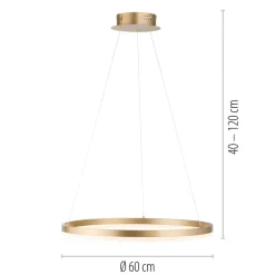 Paul Neuhaus LED hanglamp Titus, Ø 60 cm, messing, dimbaar