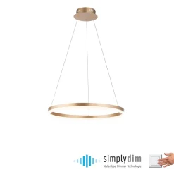 Paul Neuhaus LED hanglamp Titus, Ø 60 cm, messing, dimbaar