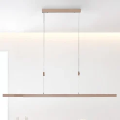 Paul Neuhaus LED hanglamp Adriana CCT instelbaar dimbaar