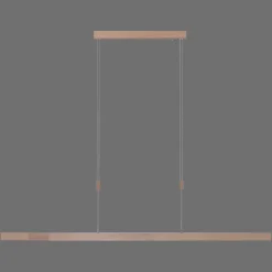 Paul Neuhaus LED hanglamp Adriana CCT instelbaar dimbaar