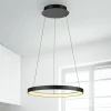 Paul Neuhaus LED hanglamp Hoop, zwart, Ø 57 cm, dimbaar