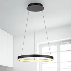 Paul Neuhaus LED hanglamp Hoop, zwart, Ø 57 cm, dimbaar
