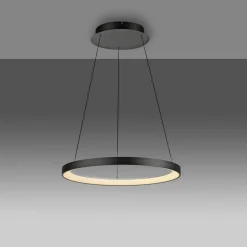 Paul Neuhaus LED hanglamp Hoop, zwart, Ø 57 cm, dimbaar