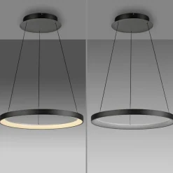 Paul Neuhaus LED hanglamp Hoop, zwart, Ø 57 cm, dimbaar