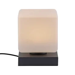 Paul Neuhaus LED tafellamp Dadoa, antraciet, glas, dimbaar