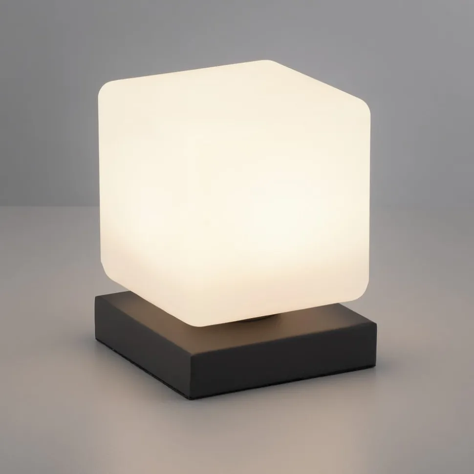 Paul Neuhaus LED tafellamp Dadoa, antraciet, glas, dimbaar