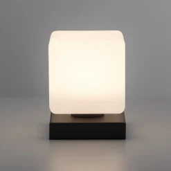 Paul Neuhaus LED tafellamp Dadoa, antraciet, glas, dimbaar