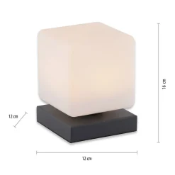 Paul Neuhaus LED tafellamp Dadoa, antraciet, glas, dimbaar