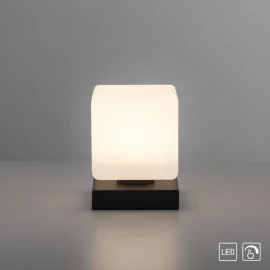 Paul Neuhaus LED tafellamp Dadoa, antraciet, glas, dimbaar