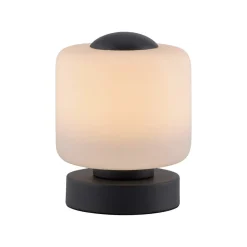 Paul Neuhaus LED tafellamp Bota, antraciet, glas, dimbaar