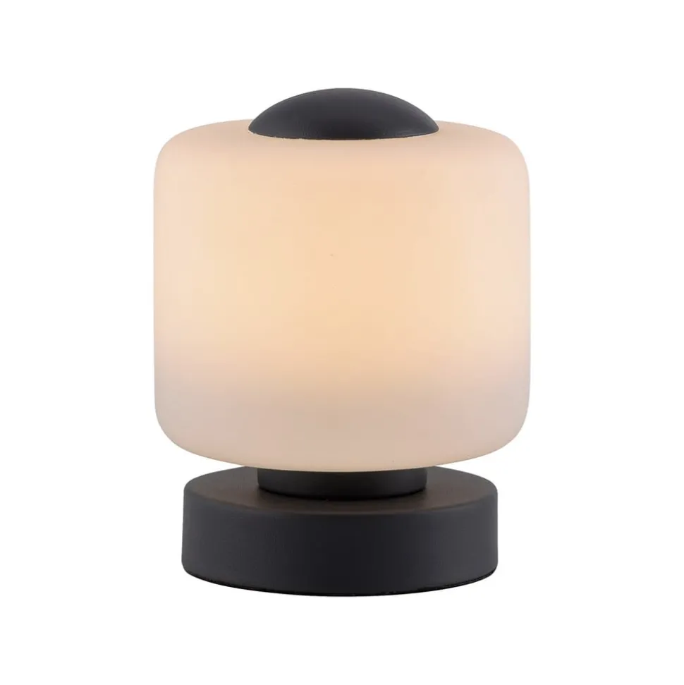 Paul Neuhaus LED tafellamp Bota, antraciet, glas, dimbaar