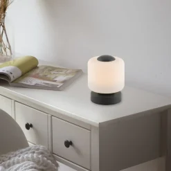 Paul Neuhaus LED tafellamp Bota, antraciet, glas, dimbaar