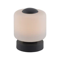 Paul Neuhaus LED tafellamp Bota, antraciet, glas, dimbaar