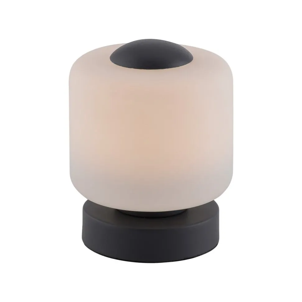 Paul Neuhaus LED tafellamp Bota, antraciet, glas, dimbaar