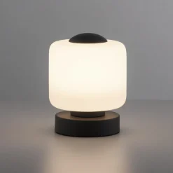 Paul Neuhaus LED tafellamp Bota, antraciet, glas, dimbaar