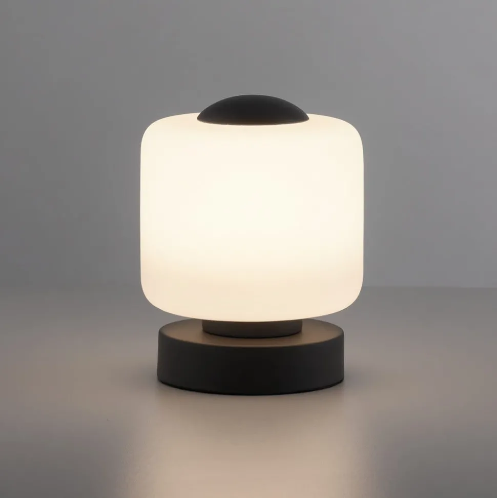 Paul Neuhaus LED tafellamp Bota, antraciet, glas, dimbaar