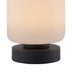 Paul Neuhaus LED tafellamp Bota, antraciet, glas, dimbaar