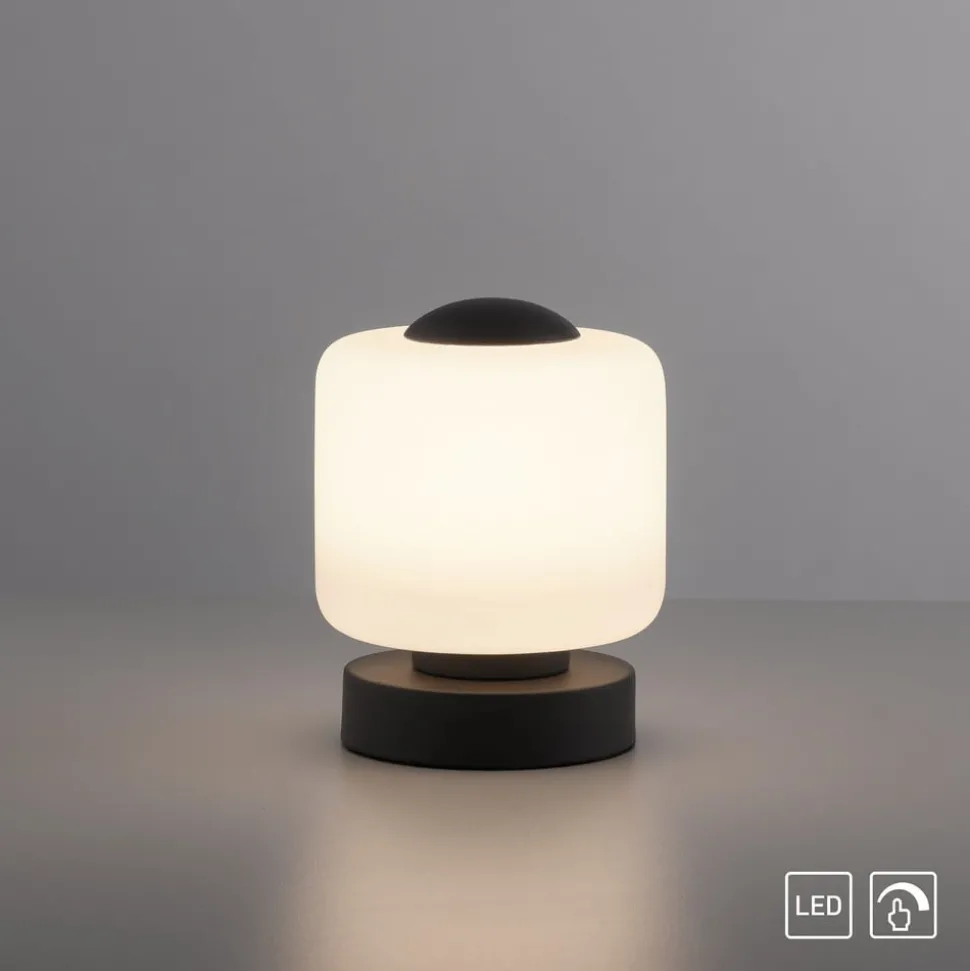 Paul Neuhaus LED tafellamp Bota, antraciet, glas, dimbaar