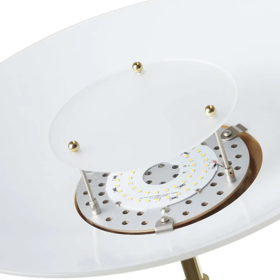 Paul Neuhaus LED vloerlamp Alfred, messingkleurig, dimbaar
