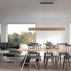 Paul Neuhaus Palma LED hanglamp CCT up/down