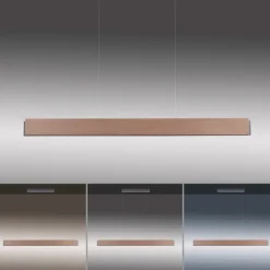 Paul Neuhaus Palma LED hanglamp CCT up/down