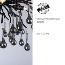 Paul Neuhaus plafondlamp Icicle, 4-lamps, zwart