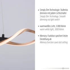 Paul Neuhaus Polina LED hanglamp, goud, metaal, dimbaar