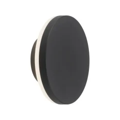 Paul Neuhaus Puntua LED buitenwandlamp, IP65