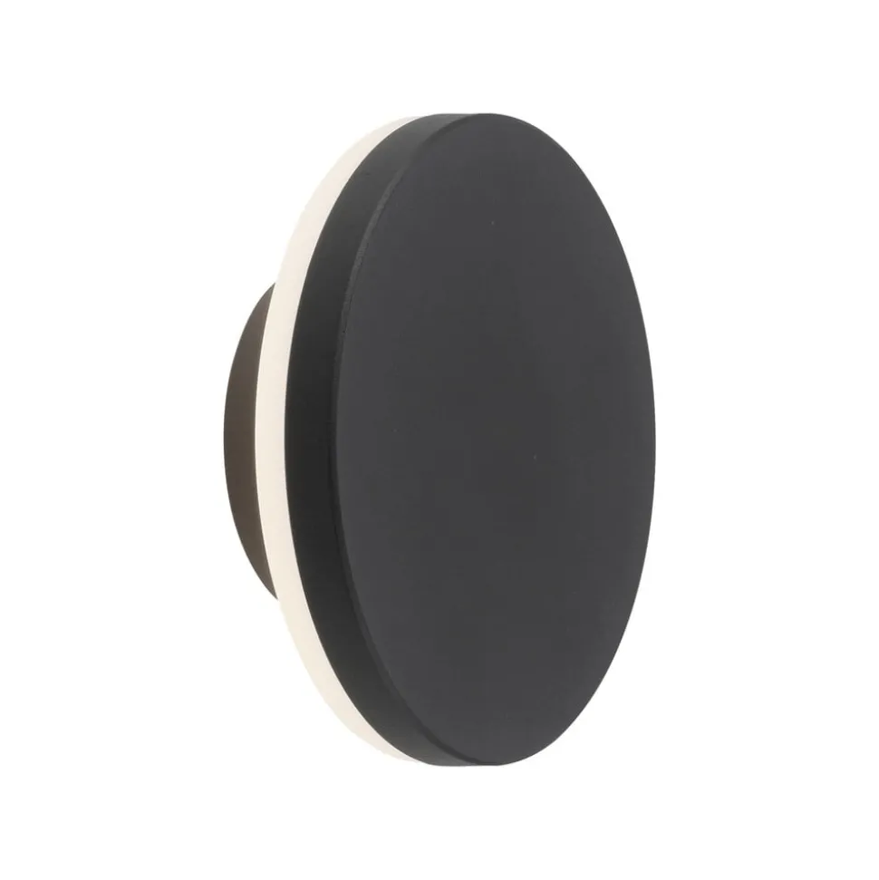 Paul Neuhaus Puntua LED buitenwandlamp, IP65