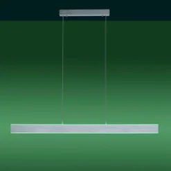 Paul Neuhaus Q-Adriana LED hanglamp up/down