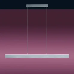 Paul Neuhaus Q-Adriana LED hanglamp up/down