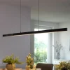 Paul Neuhaus Q-ARIAN LED hanglamp, antraciet