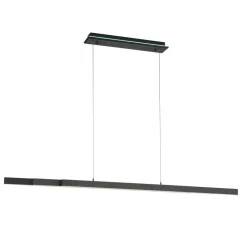 Paul Neuhaus Q-ARIAN LED hanglamp, antraciet