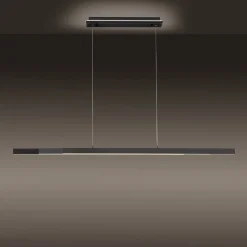 Paul Neuhaus Q-ARIAN LED hanglamp, antraciet