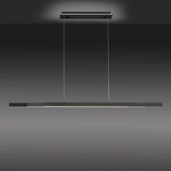 Paul Neuhaus Q-ARIAN LED hanglamp, antraciet