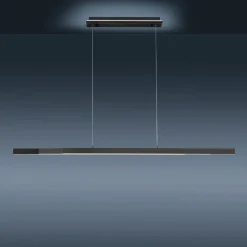 Paul Neuhaus Q-ARIAN LED hanglamp, antraciet