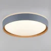 Paul Neuhaus Q-EMILIA LED plafondlamp, grijs/hout
