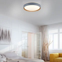 Paul Neuhaus Q-EMILIA LED plafondlamp, grijs/hout